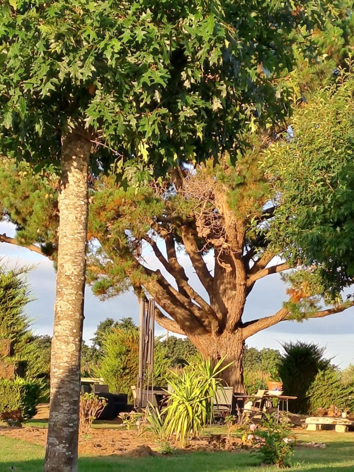 Gite En Campagne Lamegritniere ภายนอก รูปภาพ