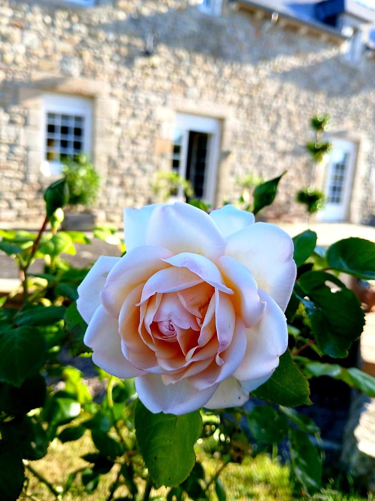 Gite En Campagne Lamegritniere ภายนอก รูปภาพ
