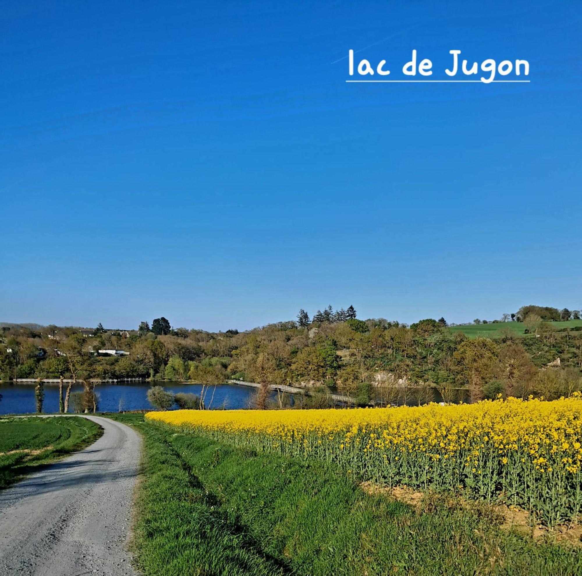 Gite En Campagne Lamegritniere ภายนอก รูปภาพ